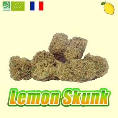 Lemon 1