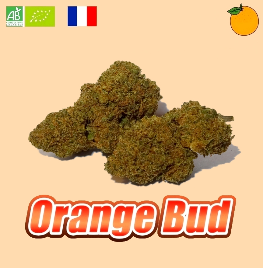 Orange 2