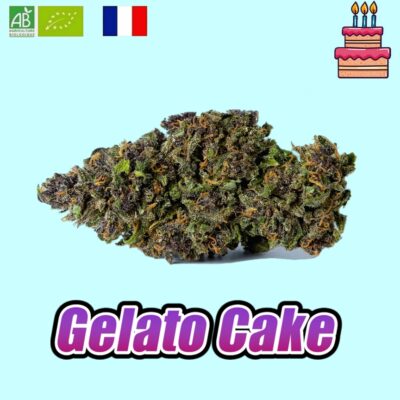 Gelatocake